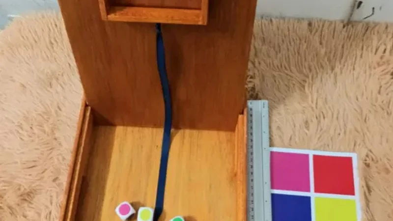 Philippine Perya Color Game 3-Dice Drop Table