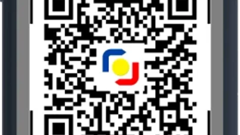 Maya QR Ph Payment Verification and Account Security Screen
