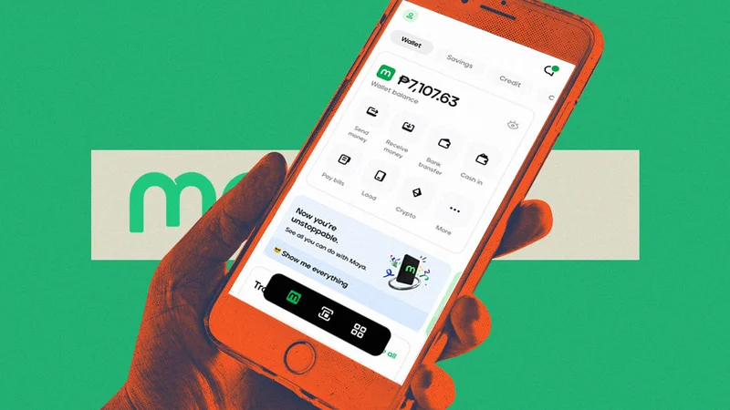 DREAMJILI Maya Wallet Deposit and Cashier Interface